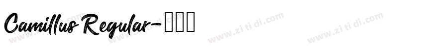 Camillus Regular字体转换 Camillus Regular字体转换